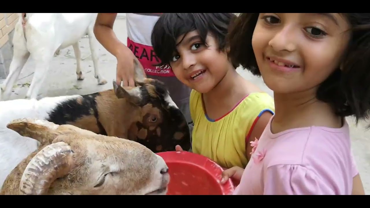 Qurbani 2018