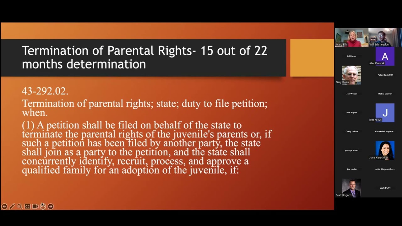 Navigating SUD for Families in the Court System (Mary Ellis, APRN, JD. 2-21-2025)