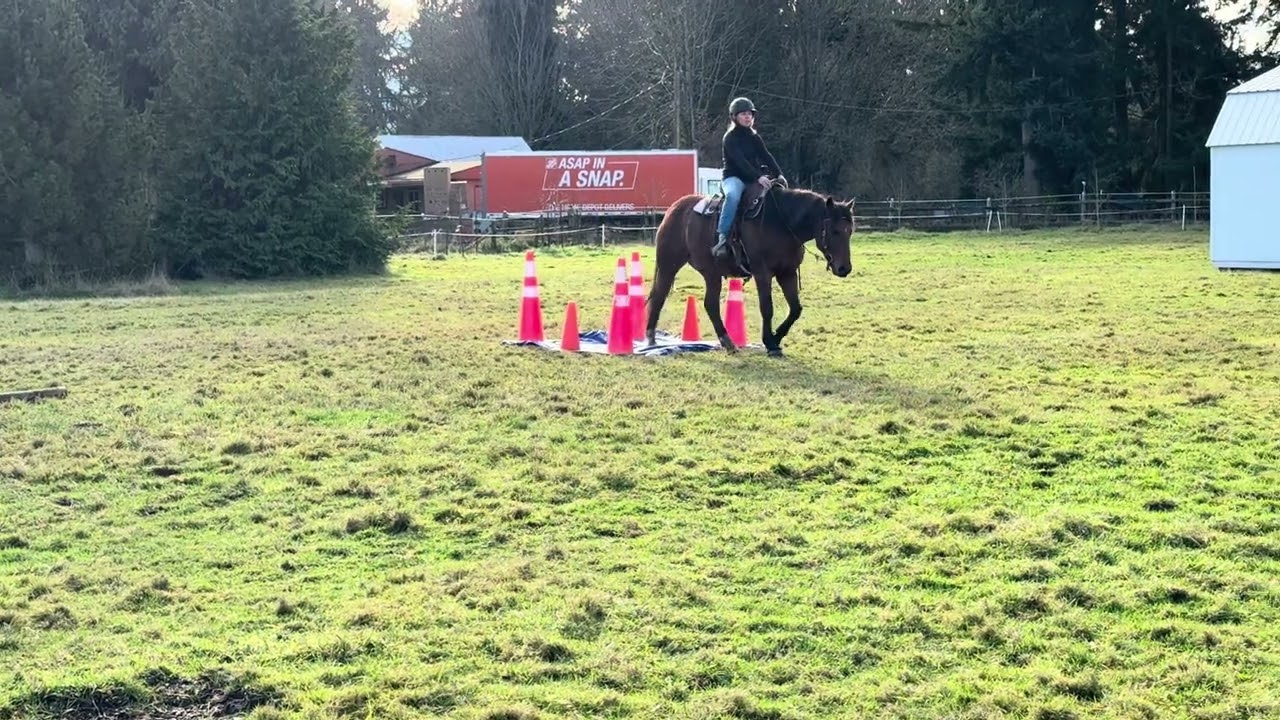 November Trinity Trail Events - Mustang Challenge- Alicia & Skyler - Ranch Trail 