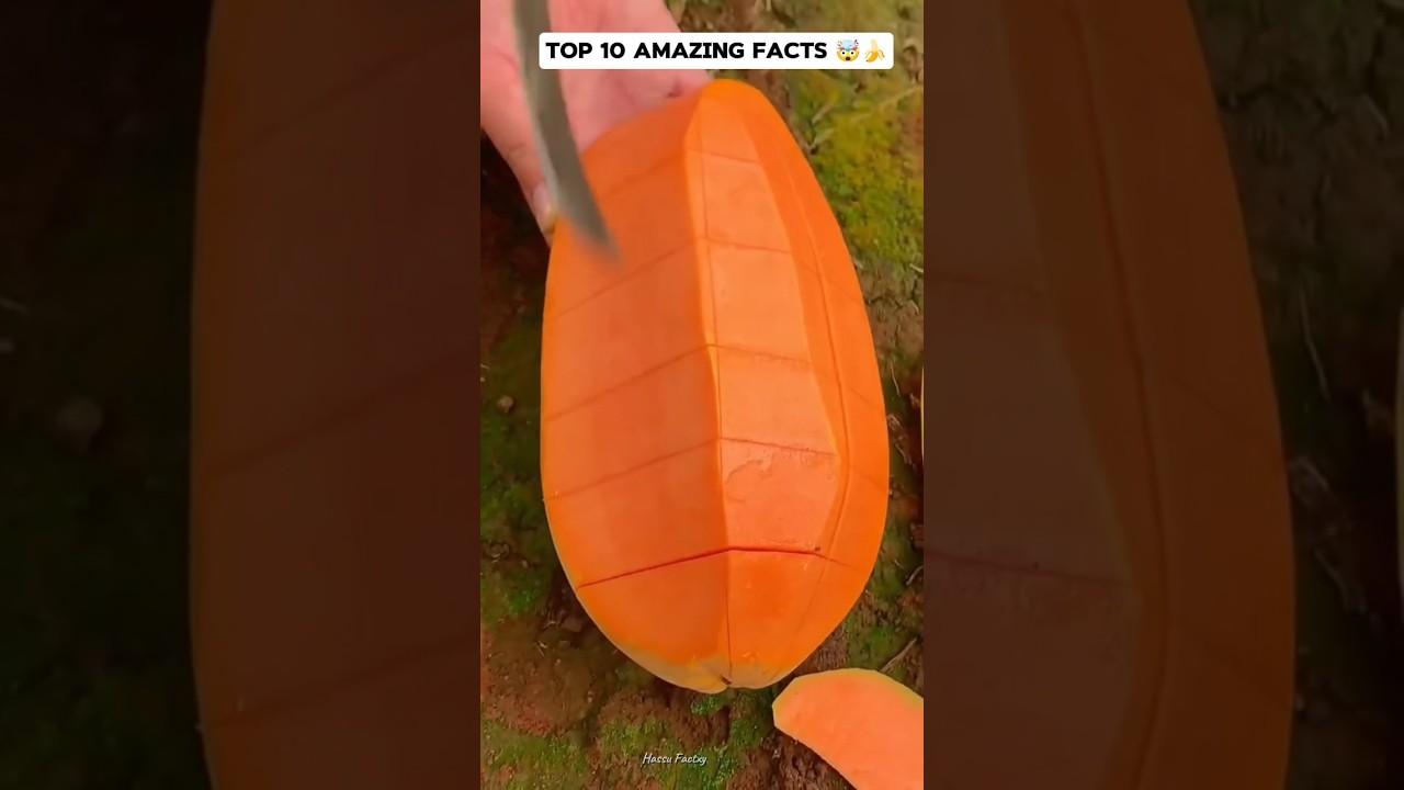 Top 10 amazing facts about food 🥝🥝 