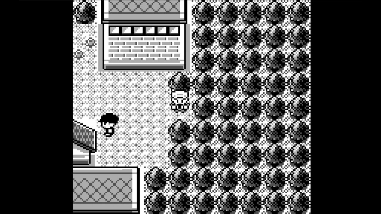 Pokemon Brown 20th Anniversary Part 6 Hayward City