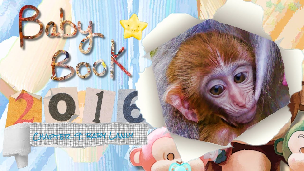 Baby book 2106 chapter 9 - the story of a girl we will never get to know