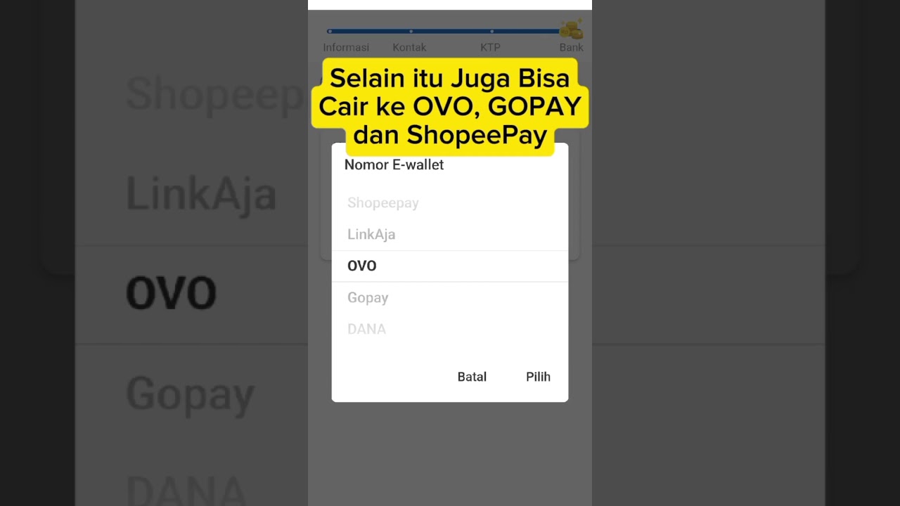 Pinjol Legal Cair ke DANA, OVO dan Gopay #pinjol #pinjamanonline