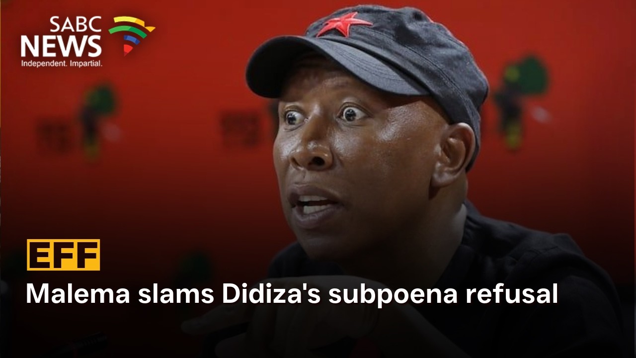 Malema slams Didiza's subpoena refusal