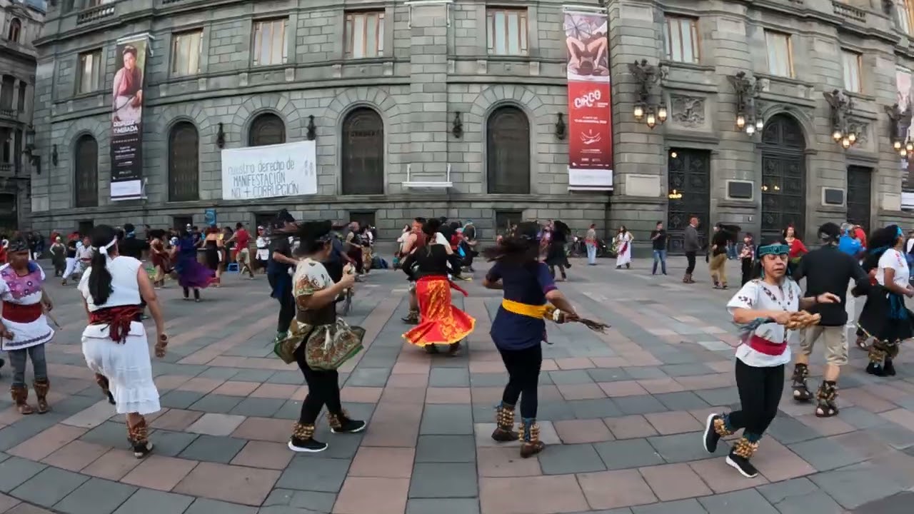 Descubre la magia oculta de la naturaleza en movimiento 🌿✨