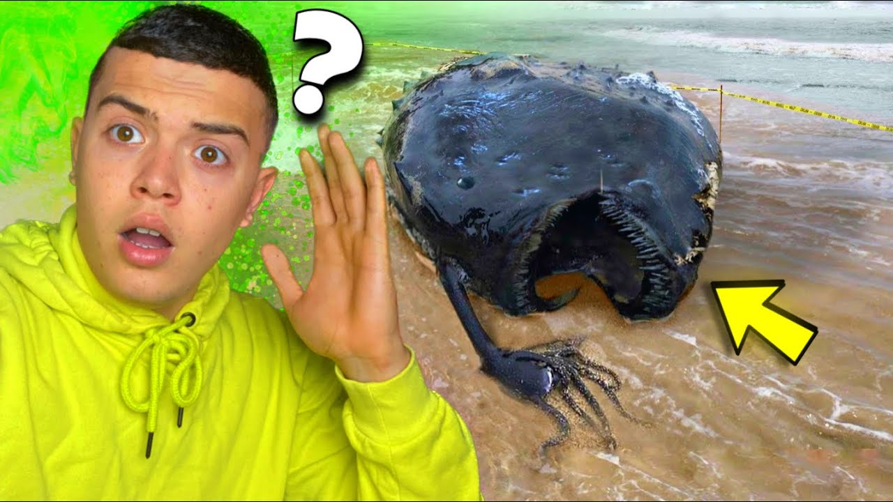 8 أشياء لا تصدق ! أخرجتها الأمواج إلى الشاطئ 🌊