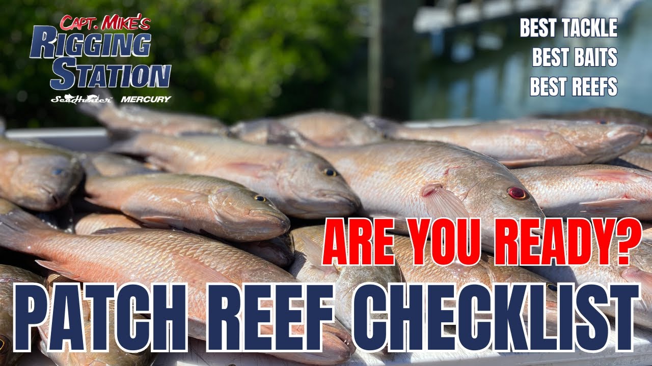 Florida Keys patch reefs checklist | patch reefs | how to patch reef fish | patch reef 2024 | Fsftv