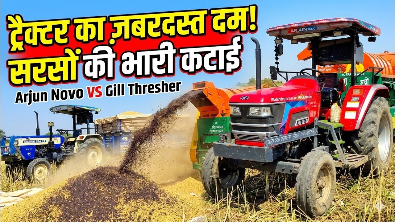 Mustard Harvesting || Swaraj Farmtrac Arjun novo check ✅🌾🚜