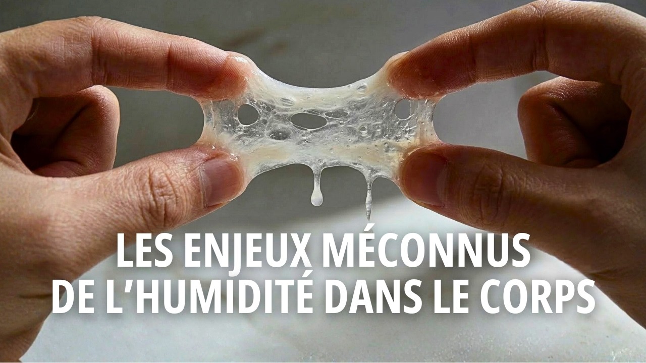 RELANCER SON METABOLISME POUR DRAINER L'HUMIDITE