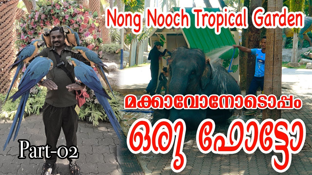 Photo with Mackavo | Nong Nooch Tropical garden | part- 02 | Thailand pattaya 