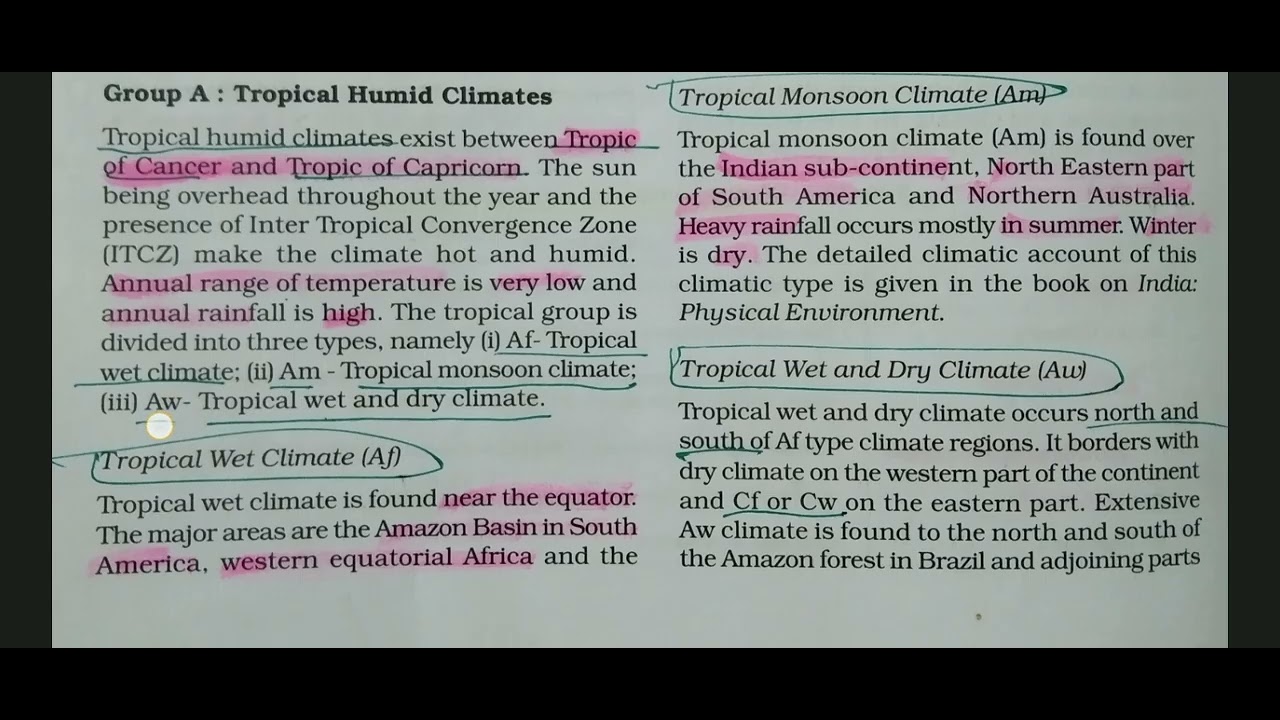 Tropical humid climate|Tropical evergreen forest|Tropical rainforest forest #upscprelims2026 