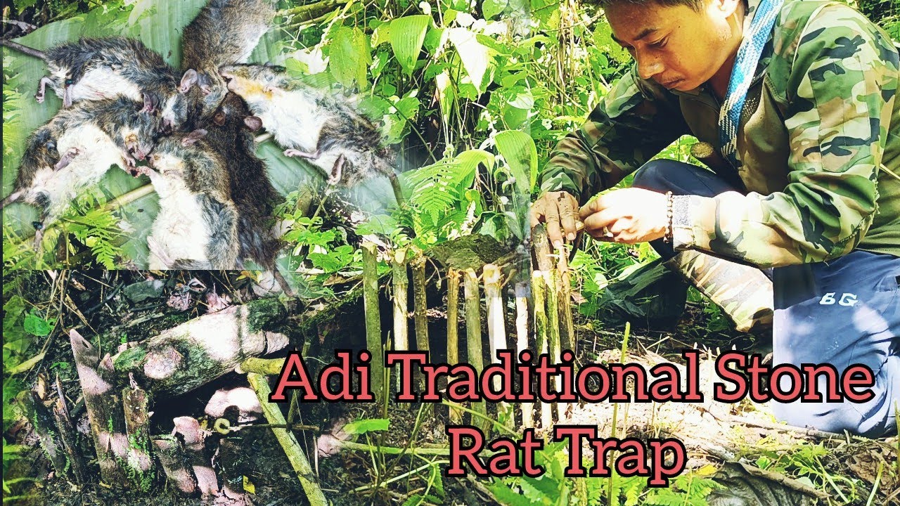 Adi Traditional Stone Mouse Trap/Arunachal Pradesh