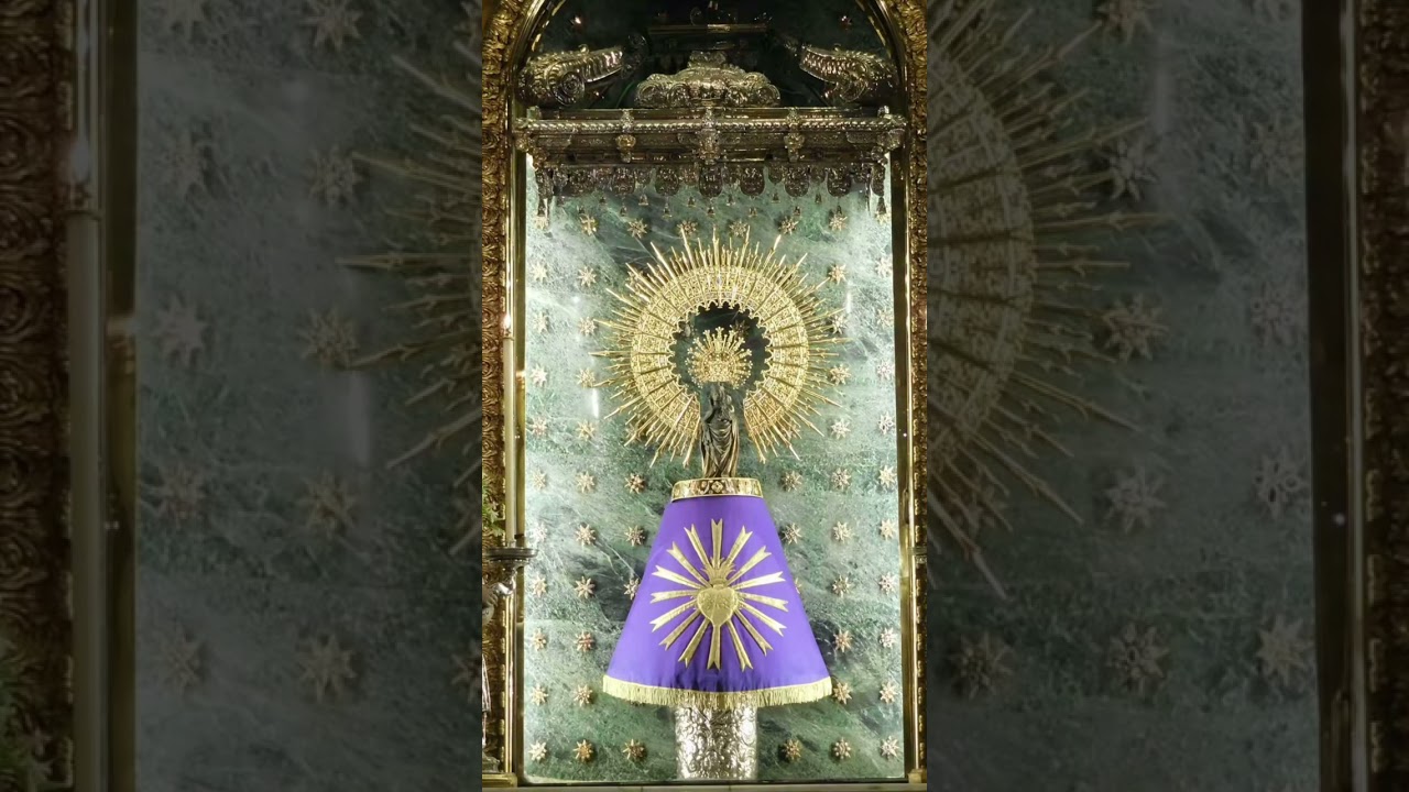Salve Regina a la Virgen del Pilar. Misión de vida .📸 voluntario particular del canal