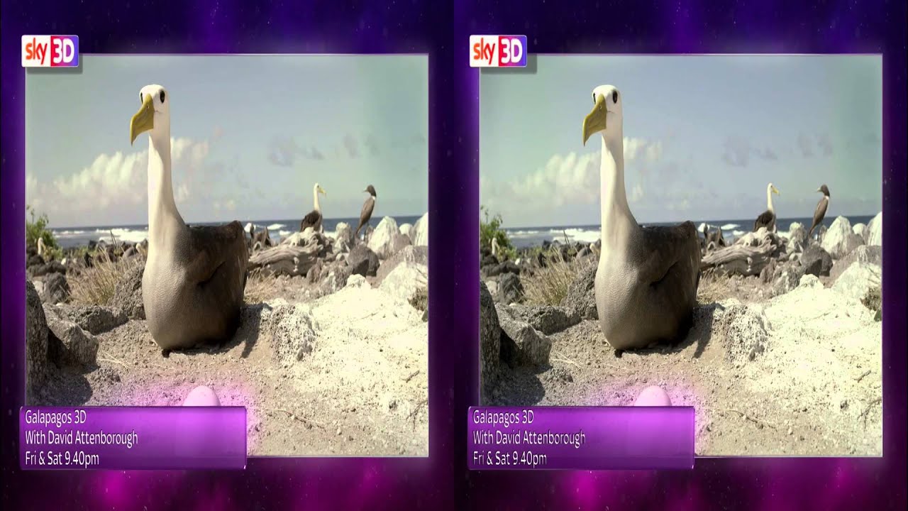 Sky 3D HD UK - Christmas / December Weekend Movie Advert 02.12.2013