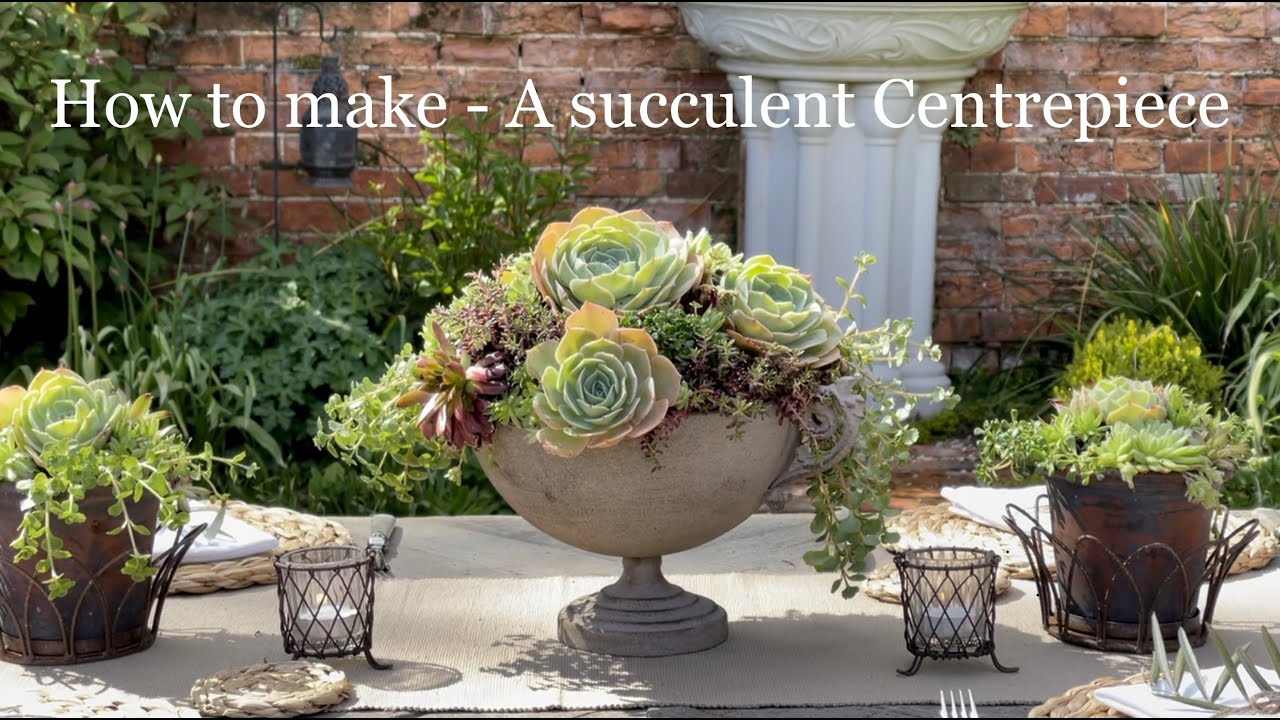 HOW TO MAKE A SUCCULENT CENTREPIECE | Katy at the manor