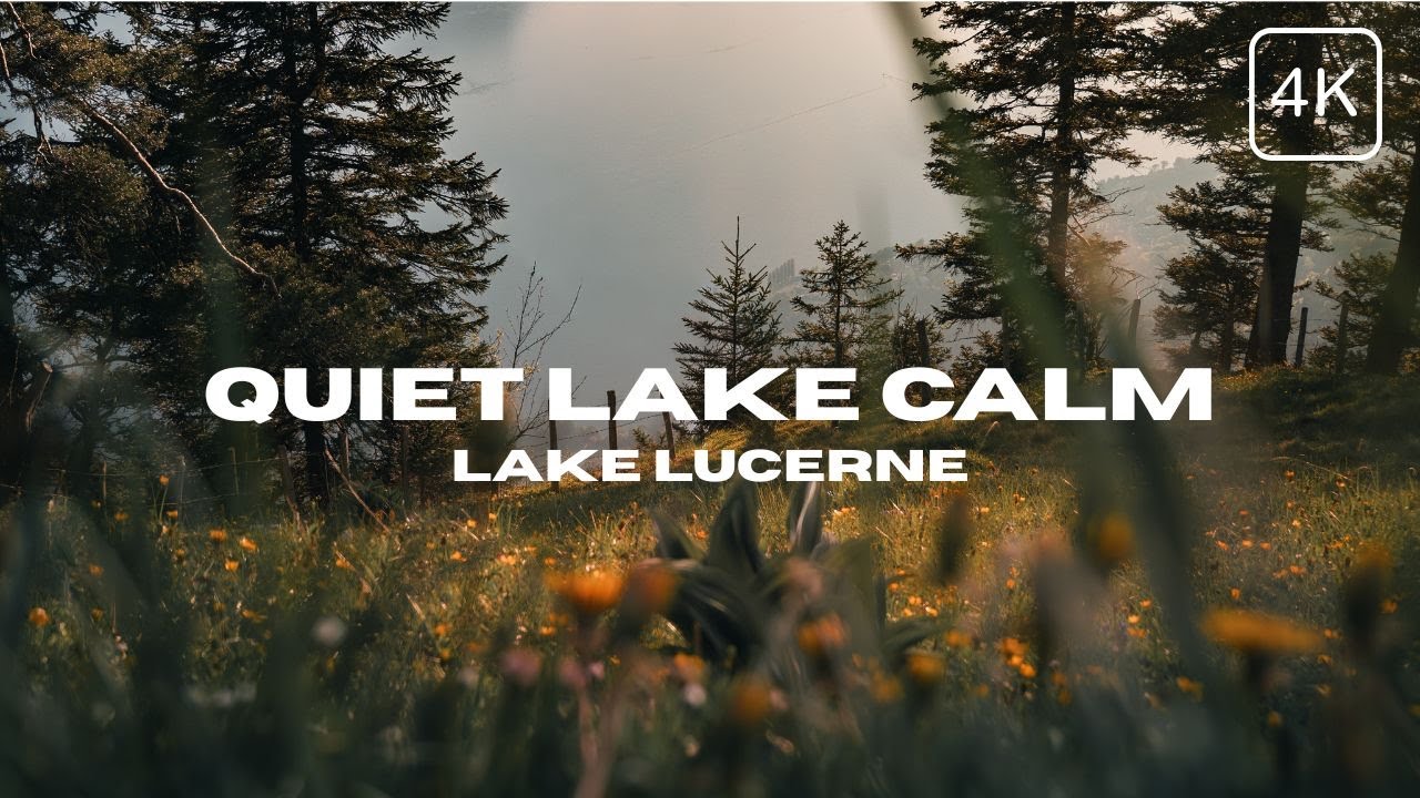 Peaceful Lake Views 4K ⚓️ - Lake Lucerne Stillness with Birdsong & Ambient Music for Relaxation