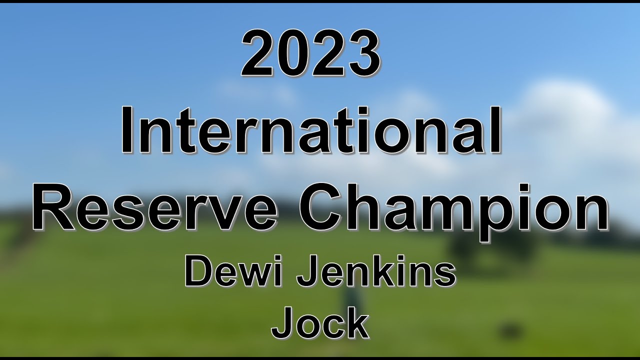 Dewi Jenkins - Jock - Reserve Supreme Champion- 2023 International Sheep Dog Trials