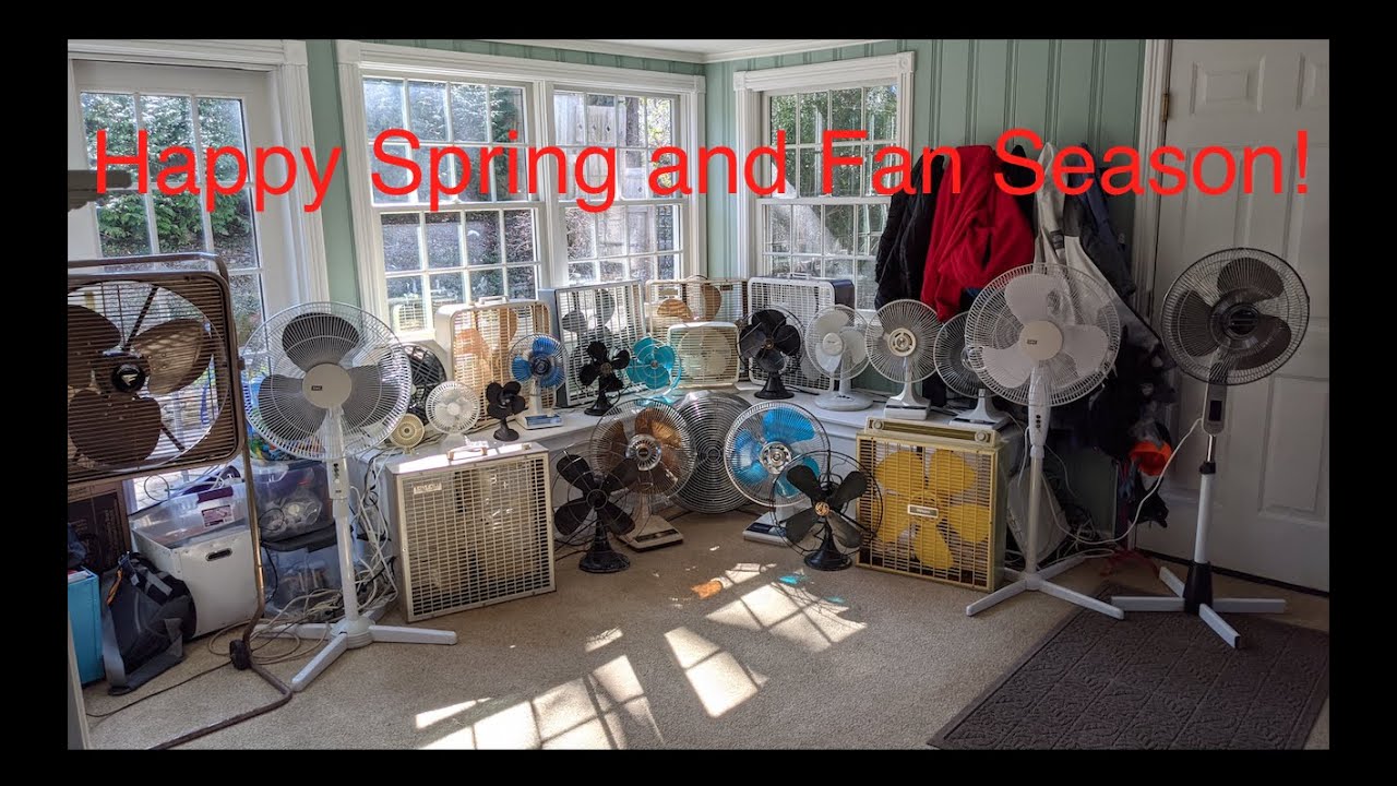 Spring Startups- Fan Edition