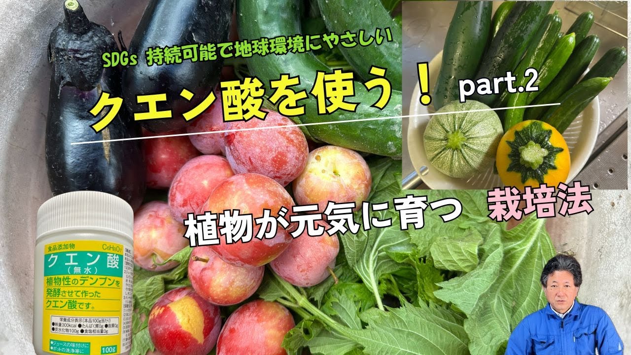 【クエン酸の効果】 植物が元気に育つ栽培法 【MAEDA FARM】#持続可能 #家庭菜園 #有機農法 #sdgs #大洋製薬