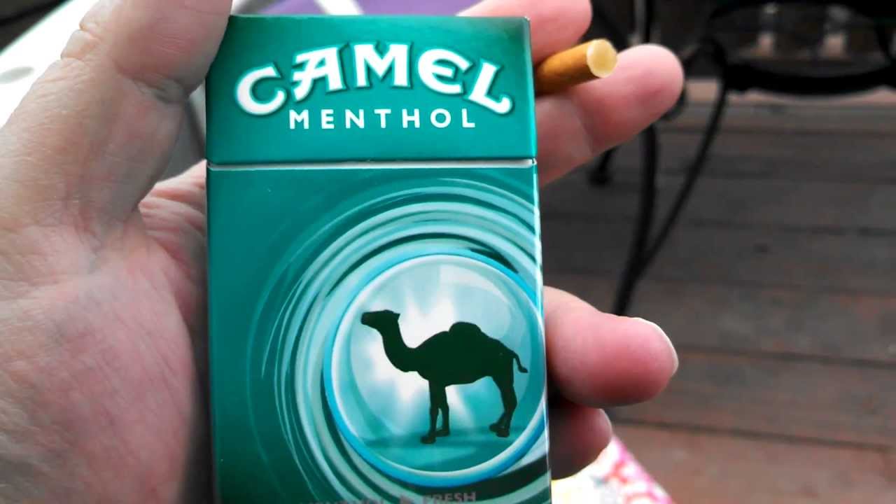 Camel Menthols