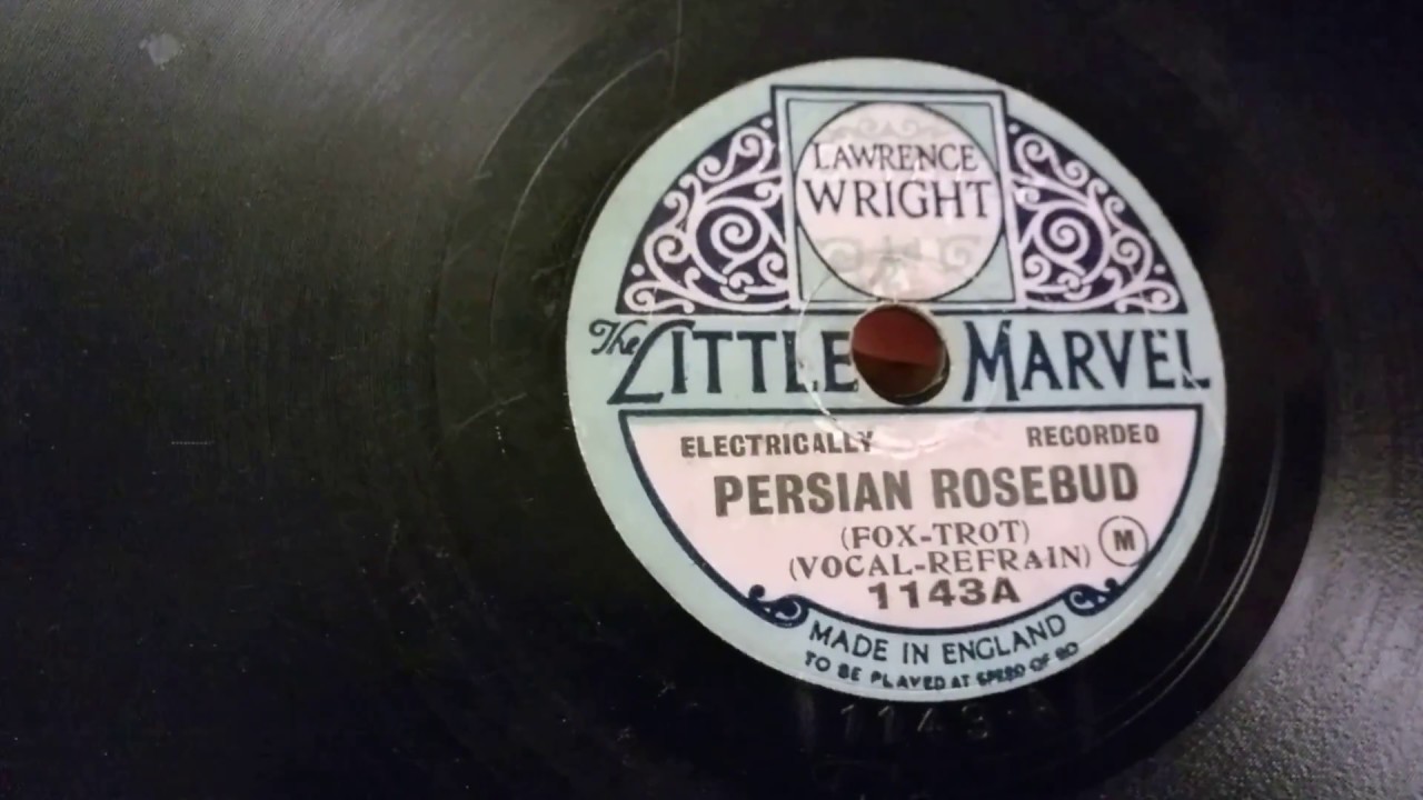 Persian Rosebud - Little Marvel 6