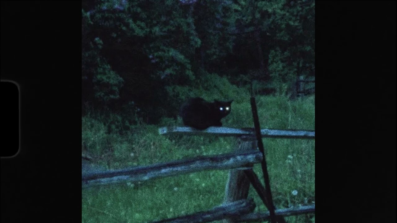 [FREE] *no drums* sad indie guitar | interlude type beat "kitten" - @m4ndume