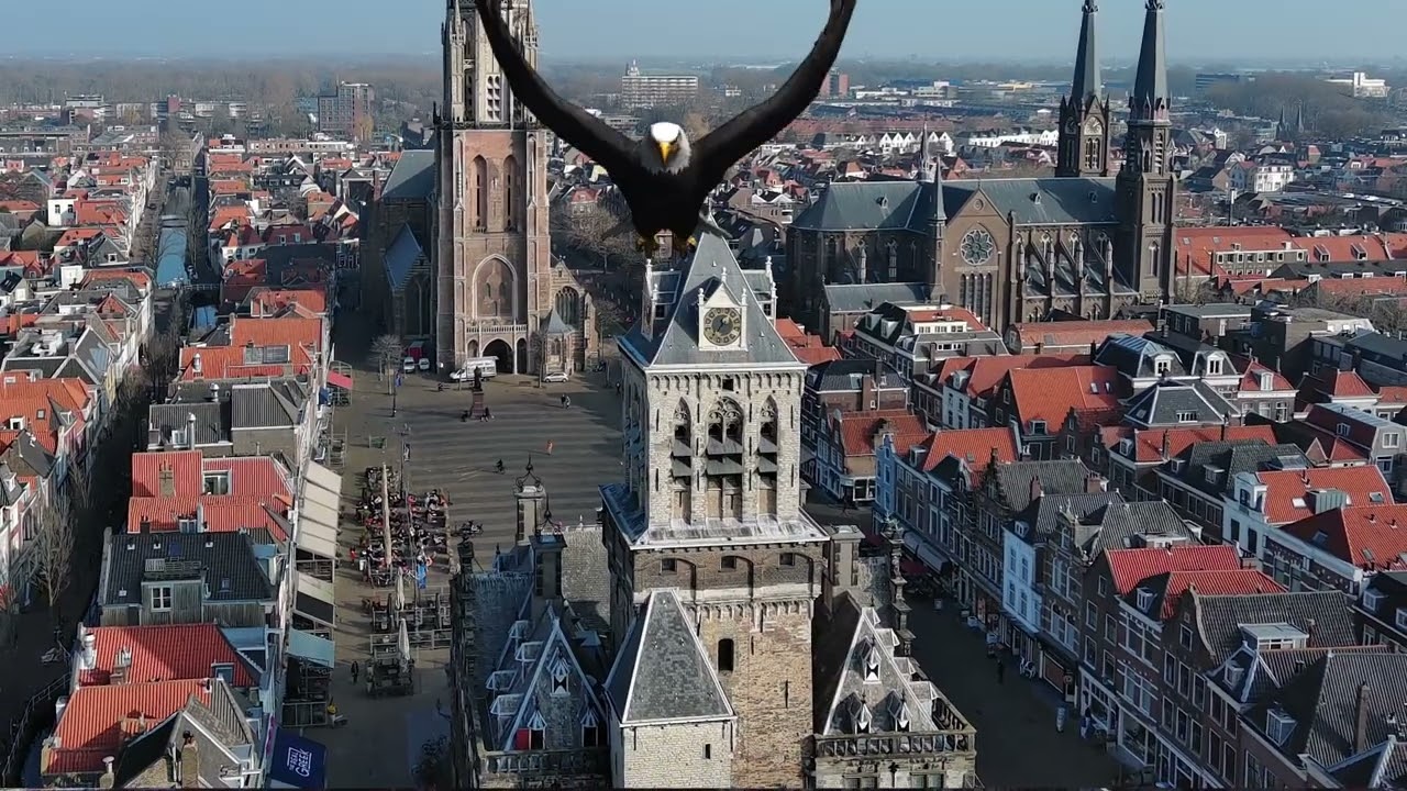 Oog voor Delft: 'Stadhuis'