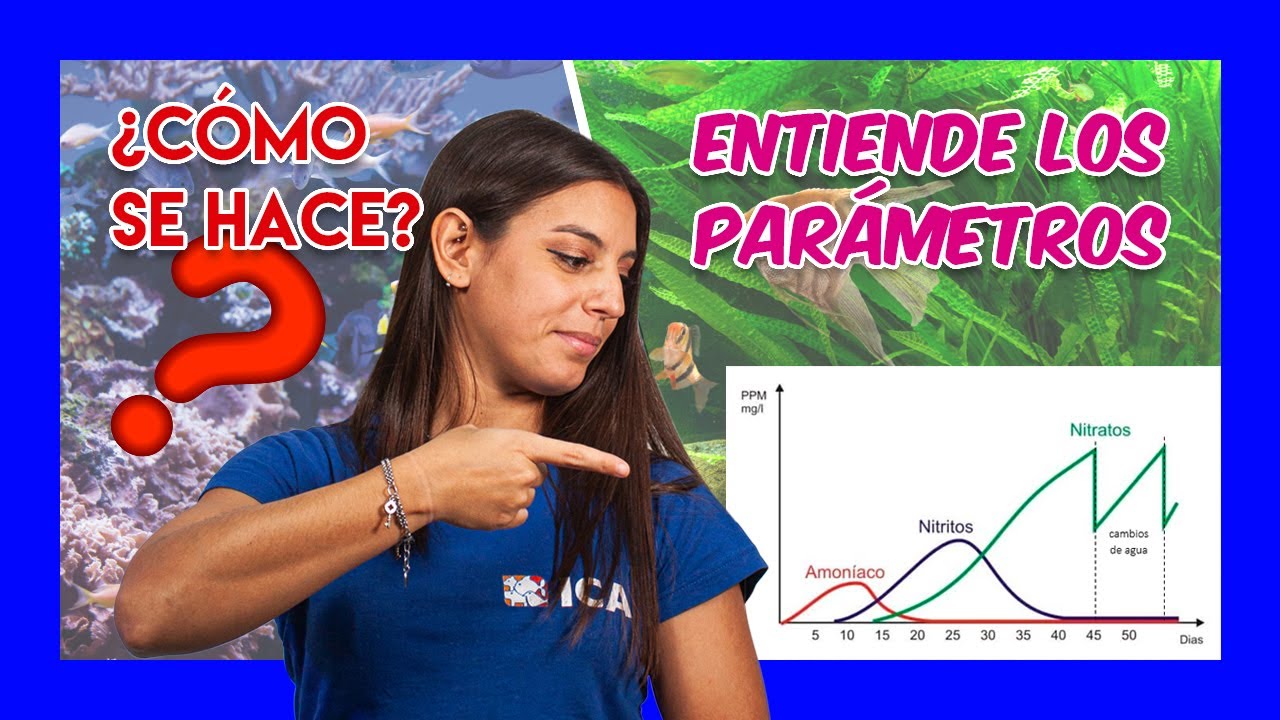 TIPOS DE CICLADO DEL ACUARIO - ¿ciclado lento o ciclado rápido? ¿CUÁL ES EL MEJOR?