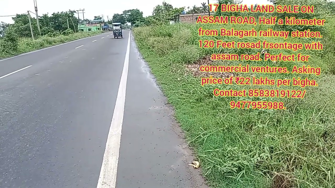 17 Bigha Land on Assam Road | Perfect for Industry | Heavy Vehicle Access | ₹22 Lakh per Bigha
