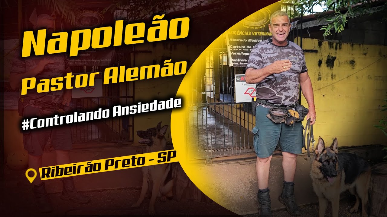 CONTROLE EM AÇÃO: NAPOLEÃO AVANÇANDO NO TREINAMENTO!