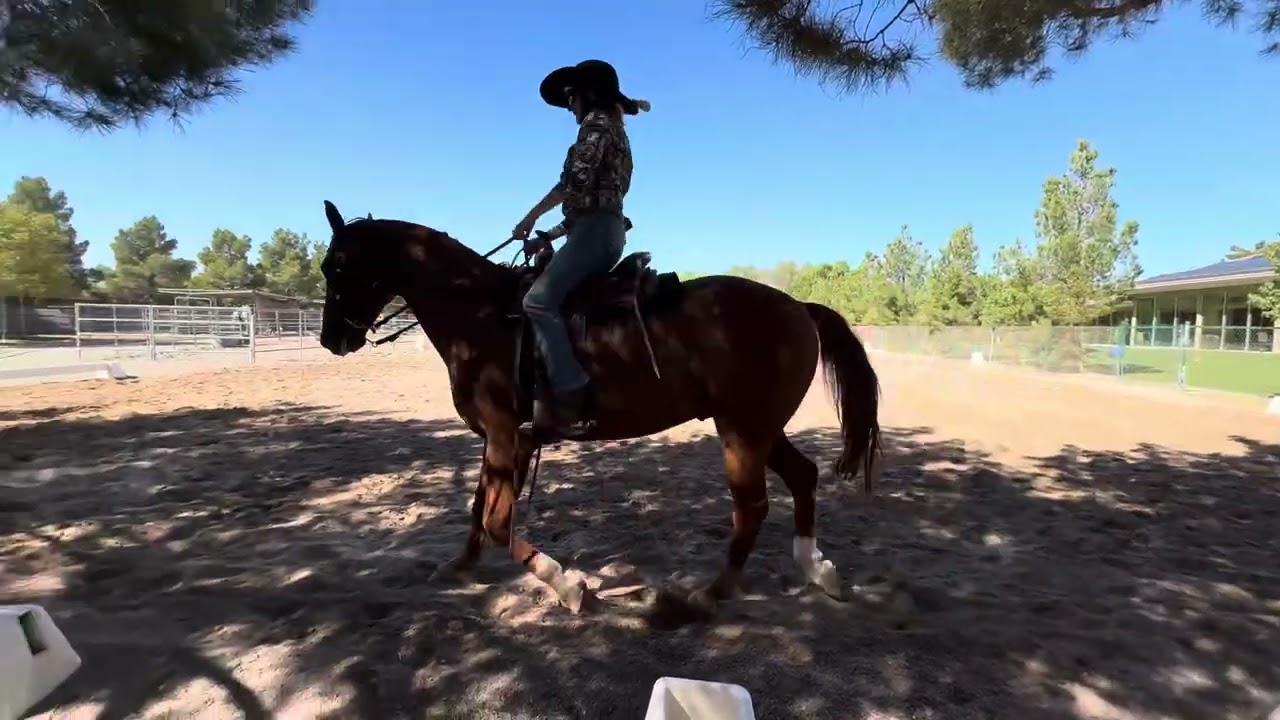 CAWDA Fall Fiesta L1T1