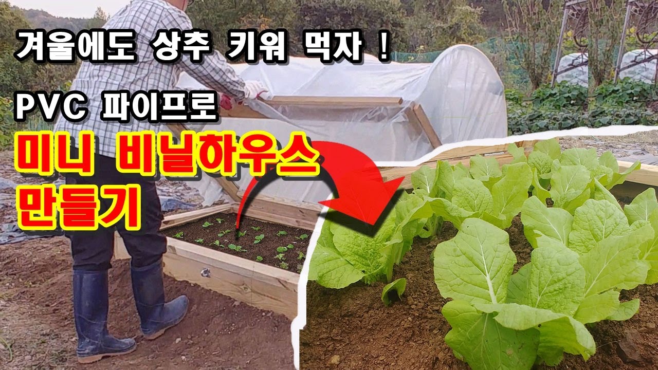 PVC파이프로 미니 비닐하우스 만들기  쿠바식 텃밭 - Mini Greenhouse Hoop House