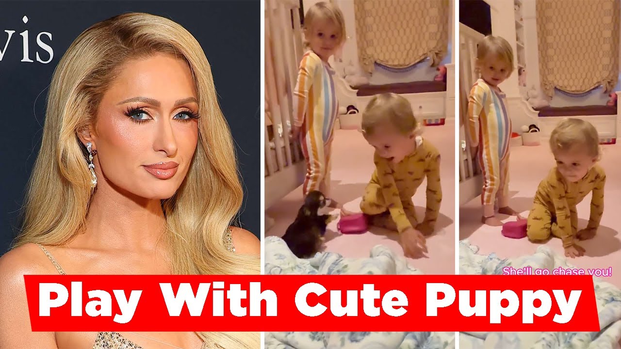 Paris Hilton&rsquo;s Kids Phoenix And London Adorable Reaction To Family&rsquo;s New Fur Baby