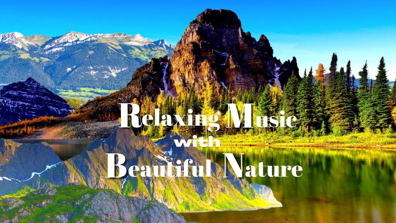 Calming Music for Sleep|| Relaxing Sleep Music || Nature with Relaxation Music @SoothingRelaxation