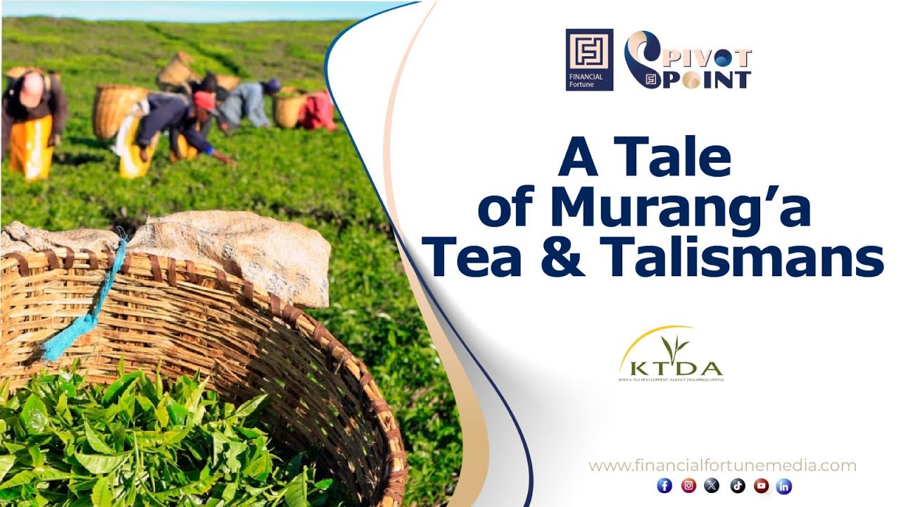 A Tale Of Murang'a Tea and Talismans | KTDA | The Pivot Point | Documentary | #tea #muranga