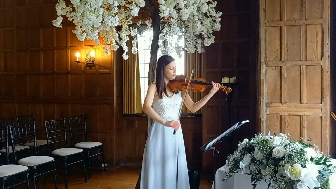 Wildest dreams - violin solo Monika Suder