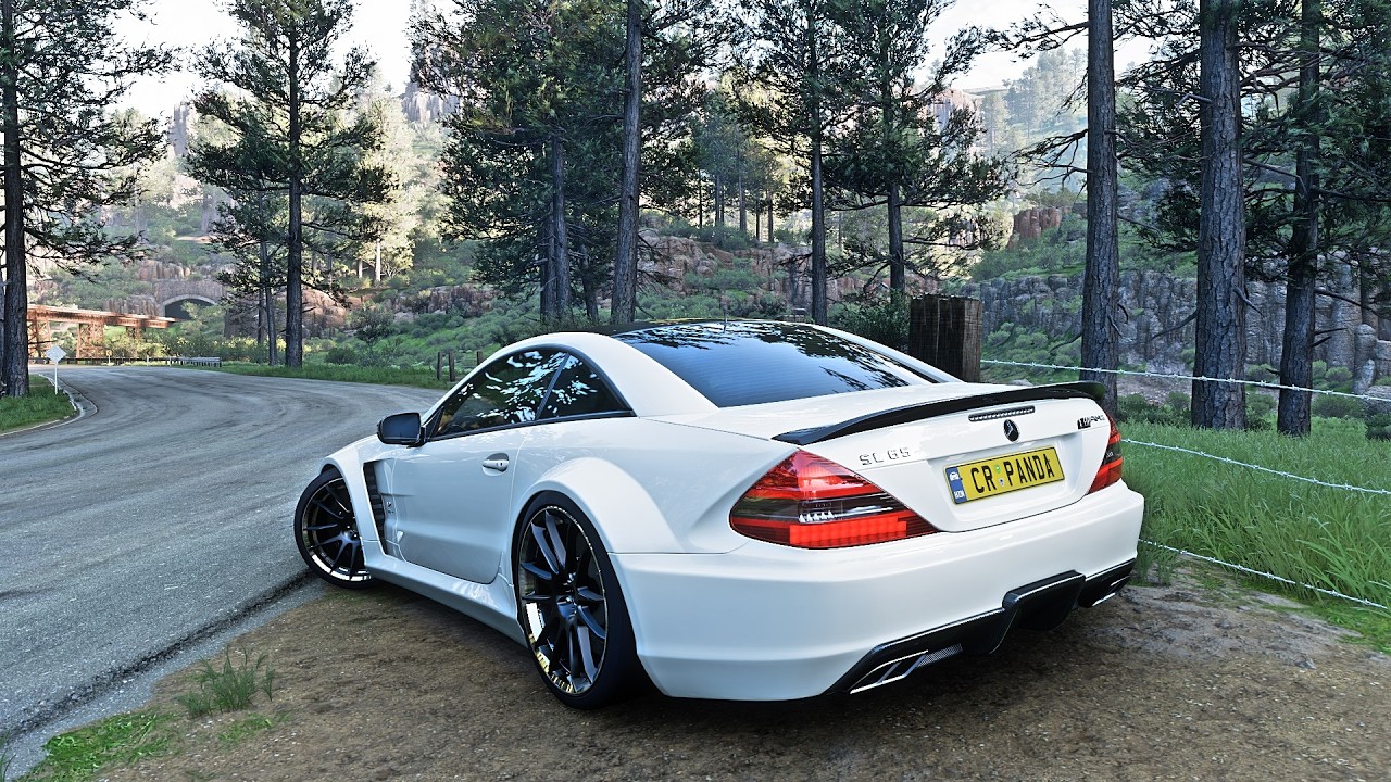 Mercedes - Benz SL65 AMG Black Series - Forza Horizon 5 | Thrustmaster TMX Gameplay