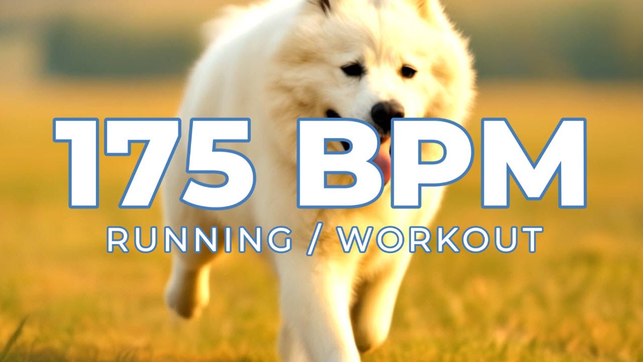 175 BPM Running & Workout Music Mix | 175 BPM Metronome Synced | 90 Min