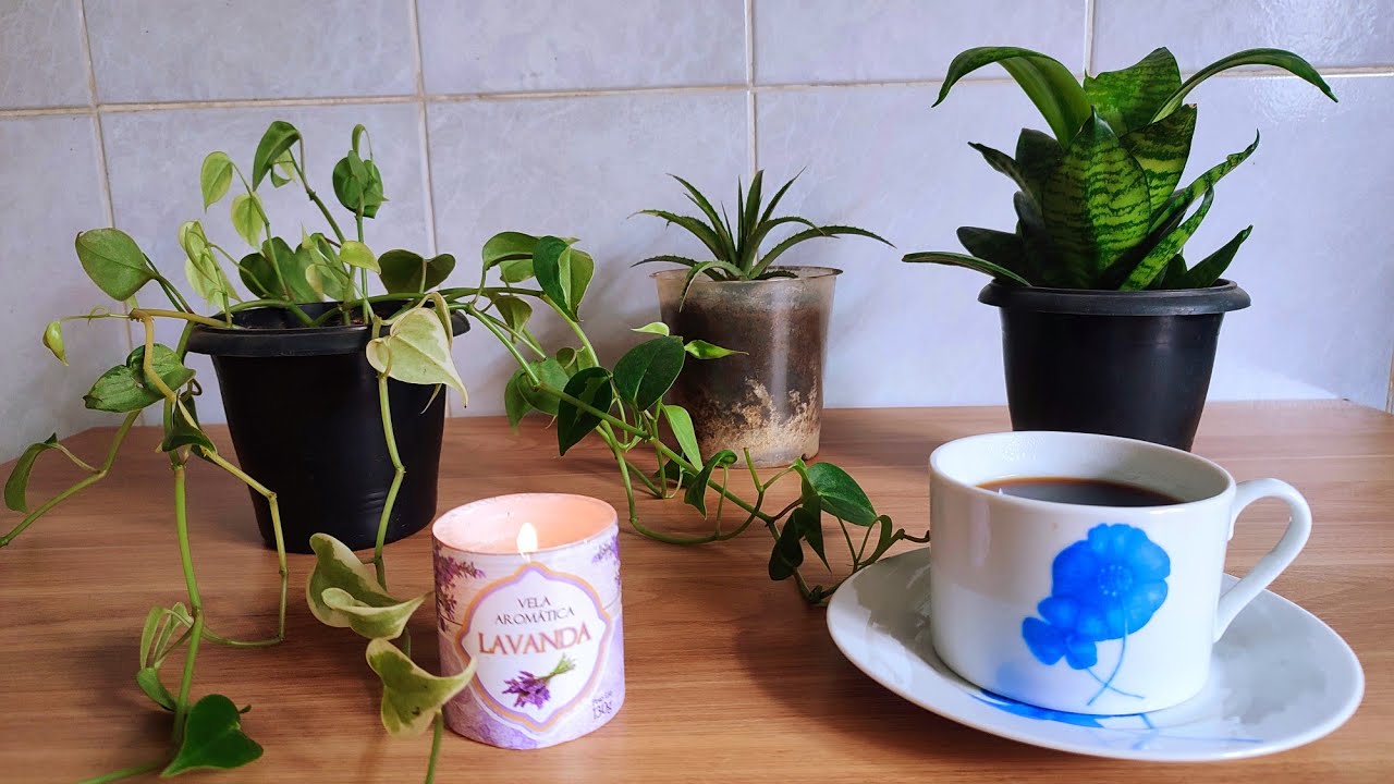Chuva, café e o aconchego do lar 🌧️ | Rotina lenta de uma dona de casa simples 🌷 vlog