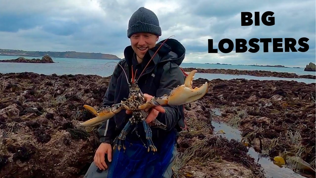 FORAGING BIG LOBSTERS - BBQ Lobster on the Beach