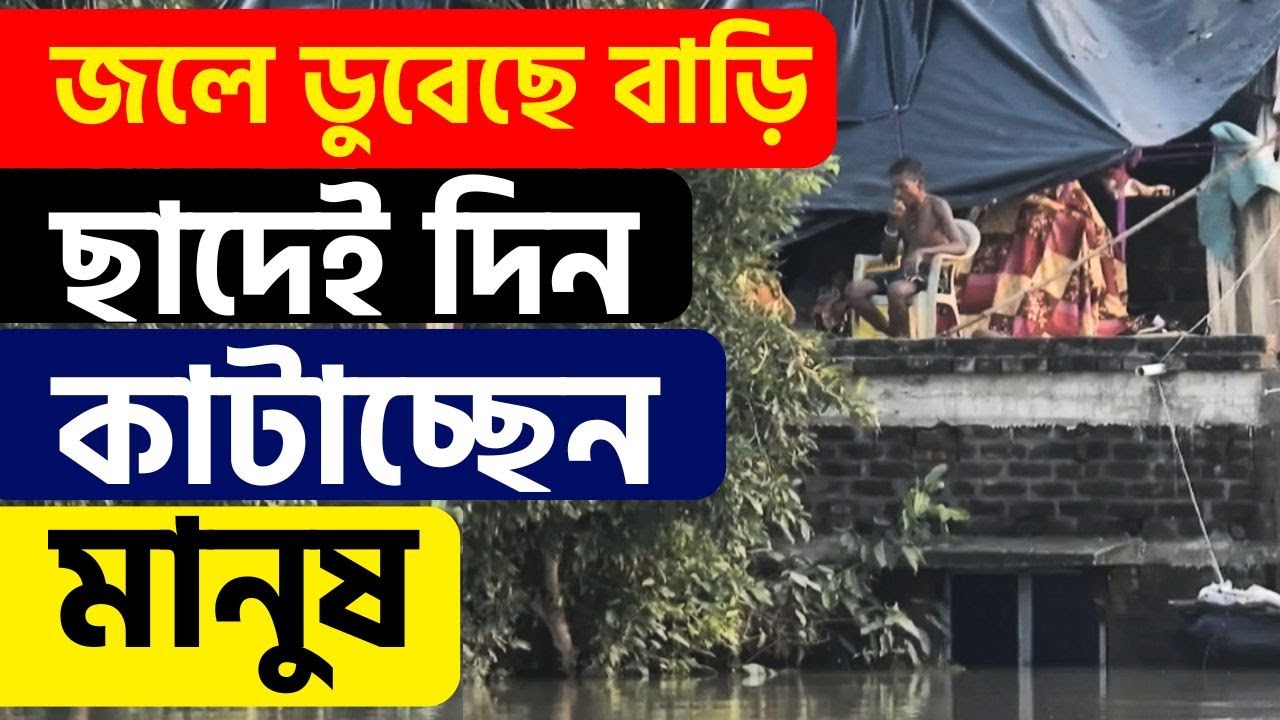 WB FLOOD BREAKING | খোলা আকাশের নীচেই রাত্রিবাস... | HEAVY RAIN | FLOOD SITUATION | WATERLOGGED