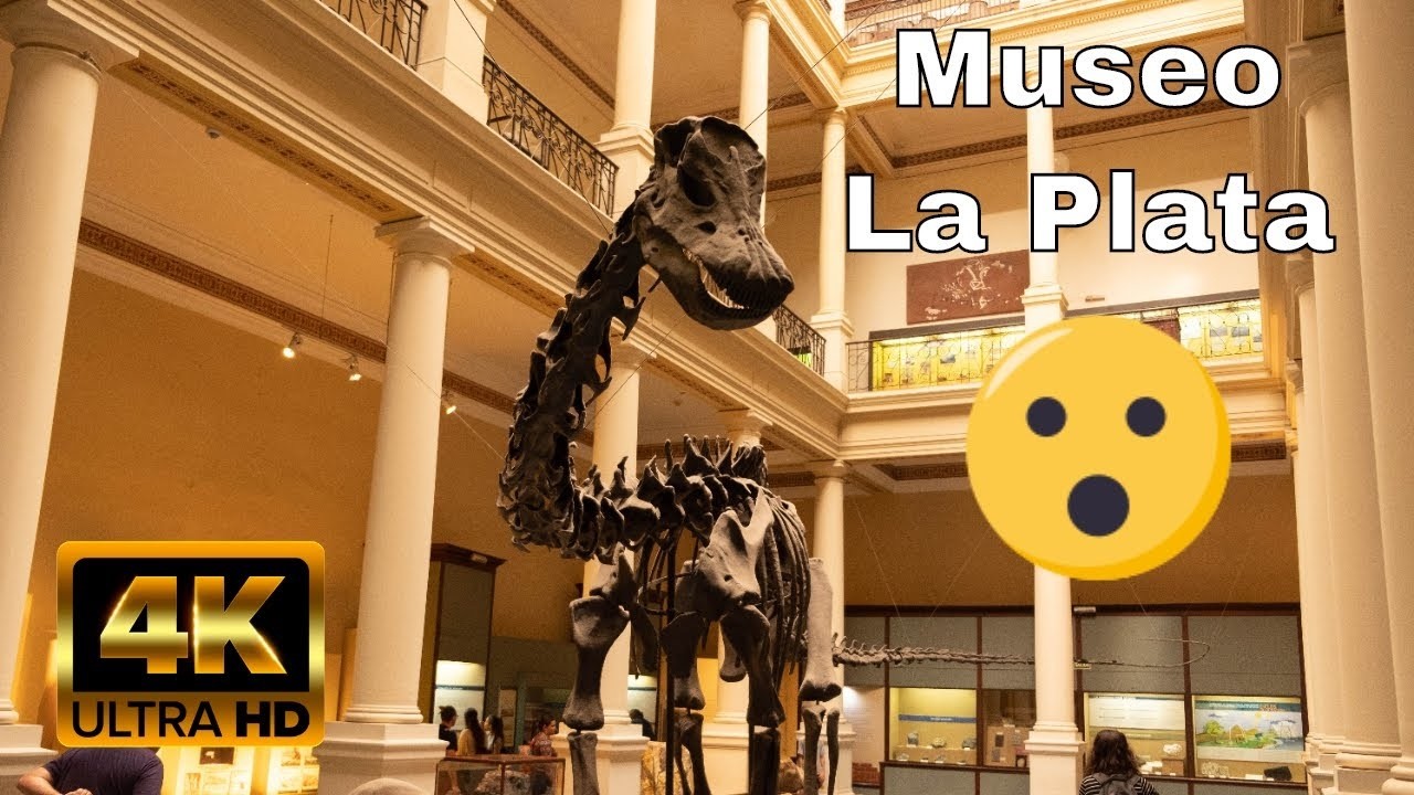 Museo de la Plata ciencias naturales 🏛 | Argentina4k