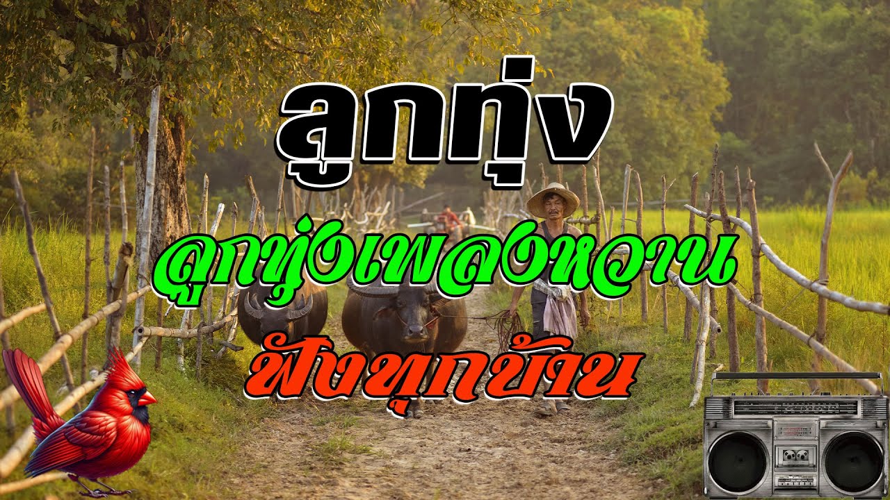 เพลงยาวๆ ลูกทุ่งเพลงหวาน ฟังต่อเนื่องไม่มีโฆษณา #ฟังแบบต่อเนื่อง