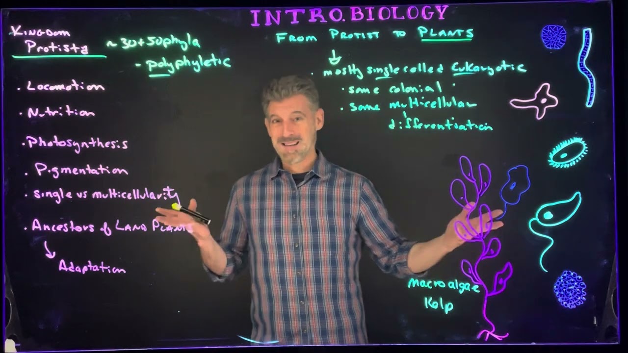From Protist to Plants: Overview of Kingdom Protista