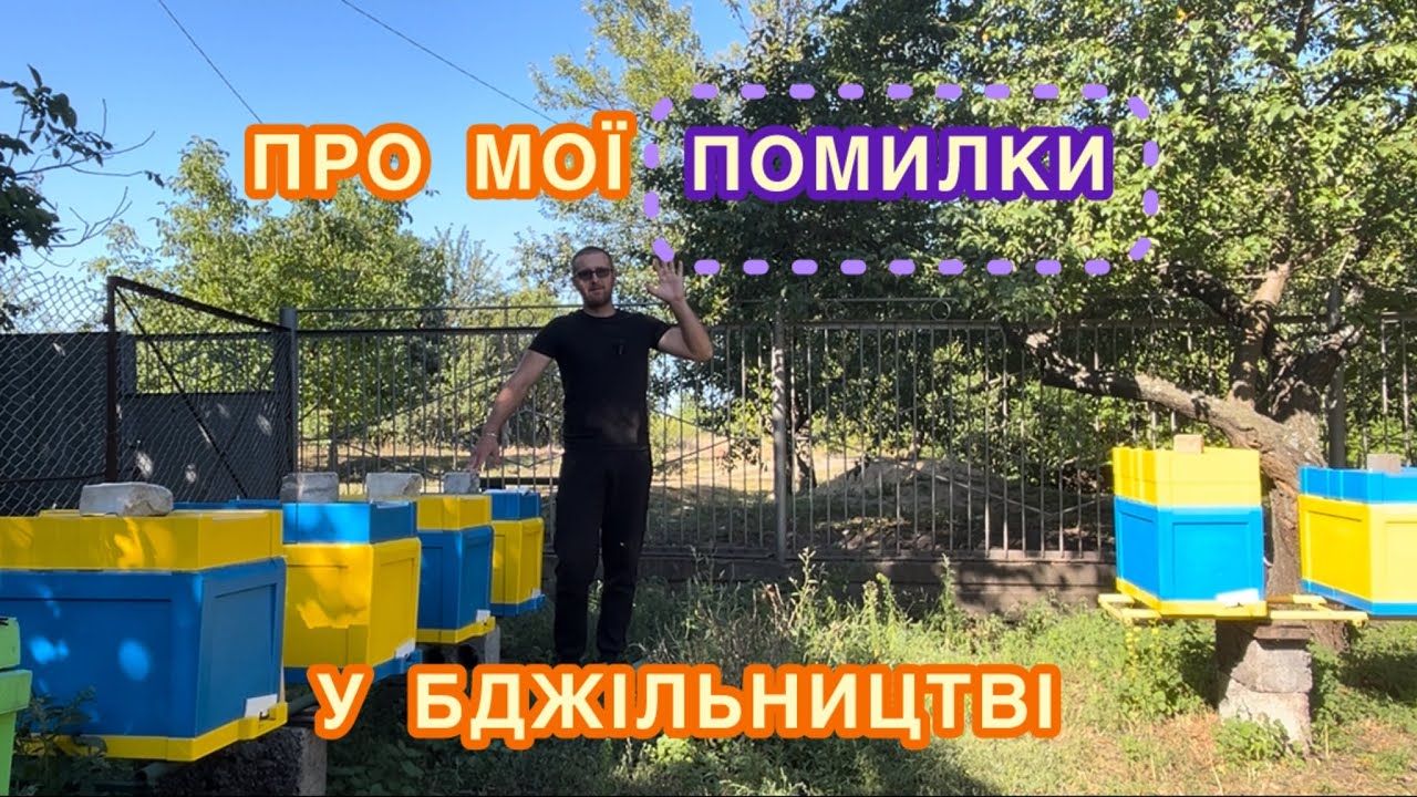 Аналіз помилок. Краще вчитися на чужих 😉🐝