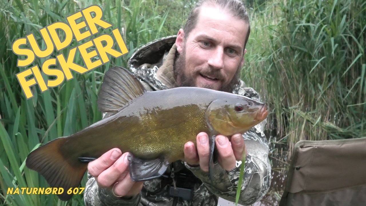 SUDER FISKERI - LÆR HVORDAN // NATURNØRD 607