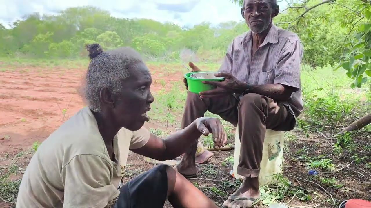 Veja dona Sebastiana e irmão Edinaldo plantando feijão no sertão Pernambucano.
