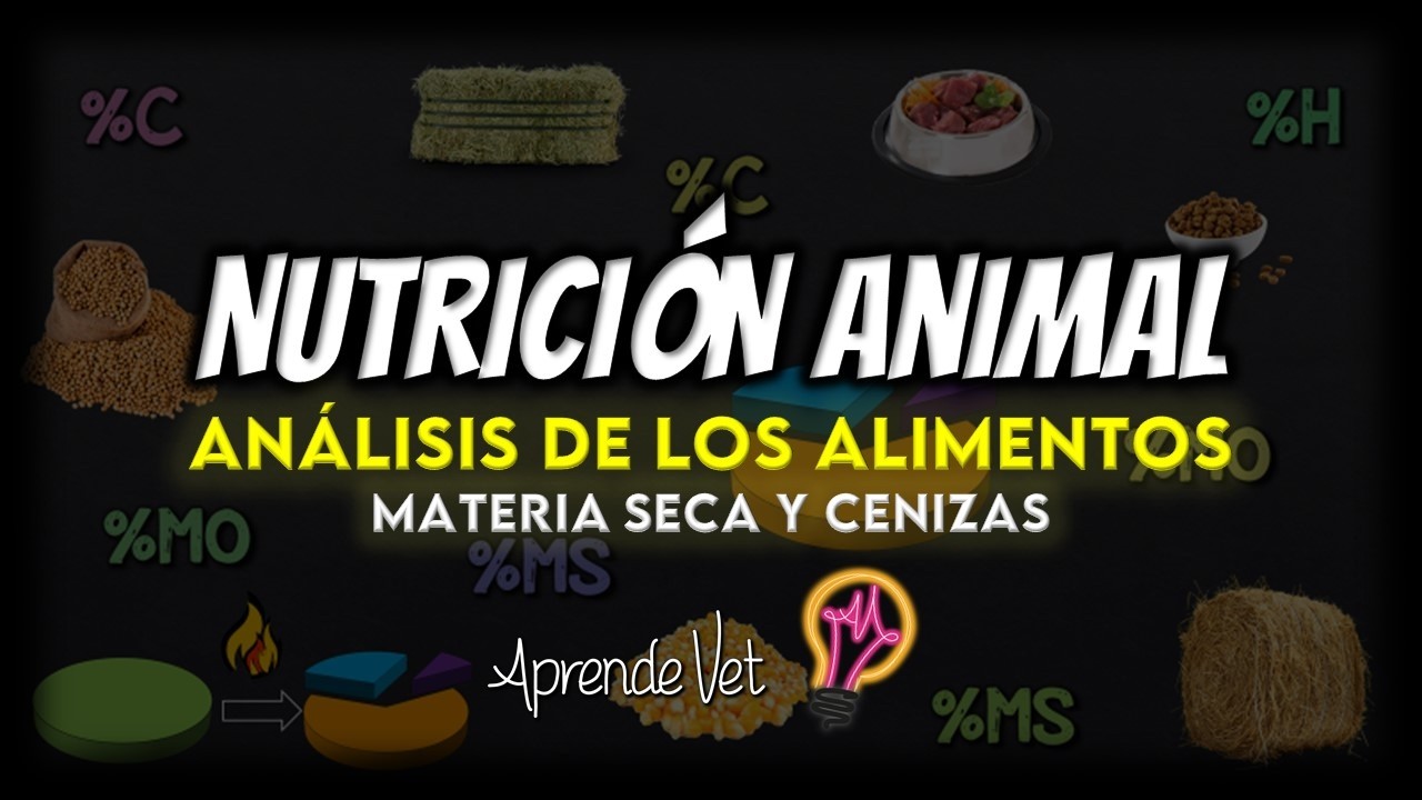 🌾 NUTRICIÓN ANIMAL 📌 ANÁLISIS DE LOS ALIMENTOS 📌 MATERIA SECA Y CENIZAS - Resumen simple