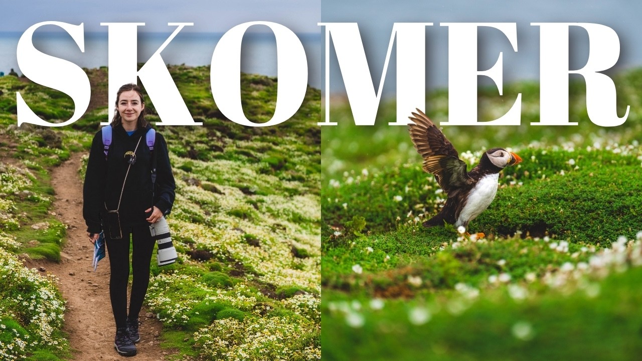 Puffin Paradise? Exploring Wales’ Cutest Wildlife Spot 🐧 (Skomer Travel Guide)