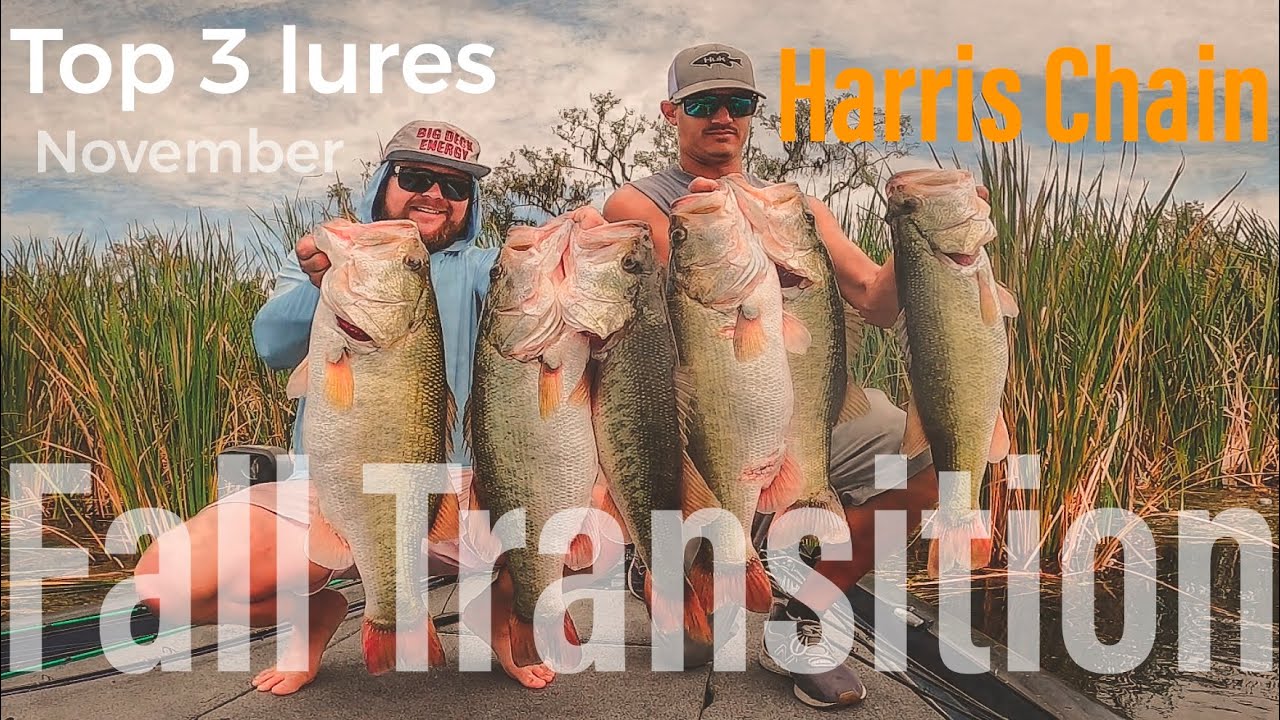 Fall Transition Top 3 Baits Harris Chain